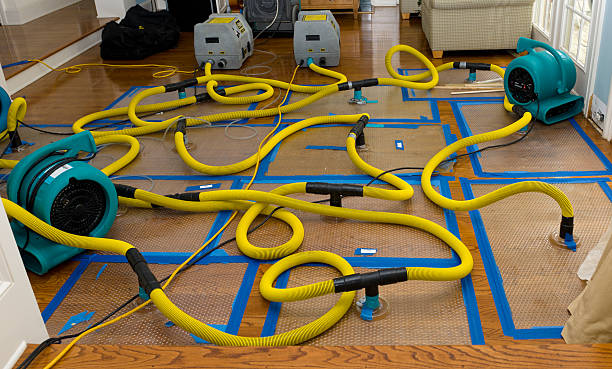 Professional Basement Flood Cleanup technician working in Congers, NY